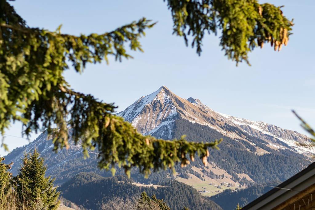 La Petite Silene Leilighet Leysin Eksteriør bilde